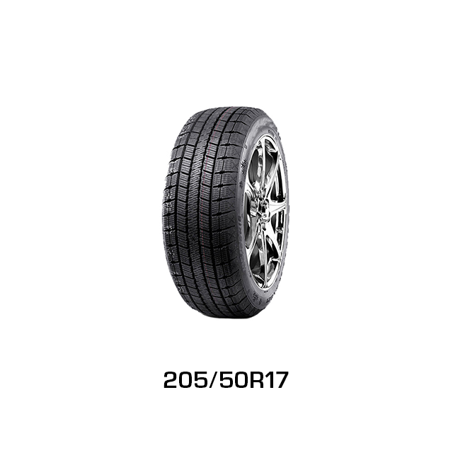 Haida - 205/50R17 - HIVER | WINTER - Cloutable | Studdable